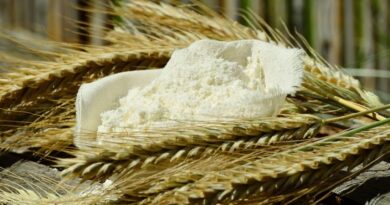 5 kg Mehl, Weizenmehl Typ 405, Vollkornmehl online kaufen